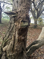 Any Witches Here? Part 10.