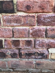 Cause of damp Victorian house