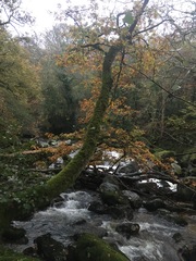 Any Witches Here? Part 10.