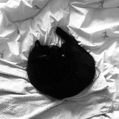 Cat chat - 100 slave tips