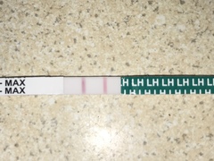 Ovulation test I think I got my first surge