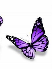 Photos of your tattoos?