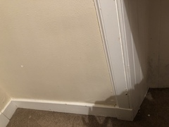 Water coming through external wall