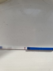 Evap line or faint positive?