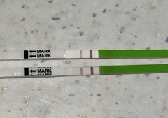 BFN 10dpo