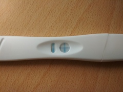 October ICSI/IVF