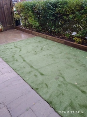 Friendly Frugaleers Festive Preparations and Financial Accountability