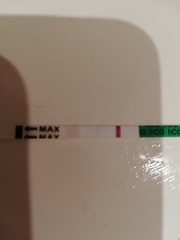 Do you see a line?