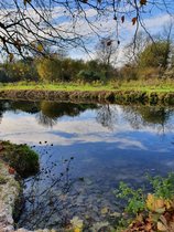 5:2 Thread number 87: It's my body and I can if I want to