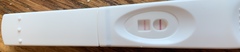 Ovulation tests