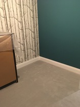 Home extension 2019 the Third thread- Drowning in Dust