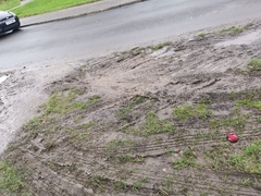 Neighbours parking, mudslide!