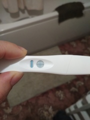October ICSI/IVF