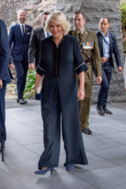 Royal style: Cambridges appear but Sussexes aren't near