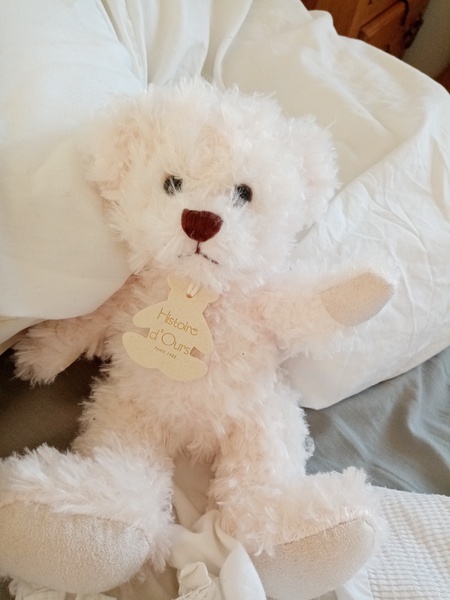 Name this bear