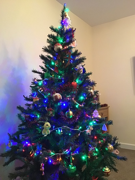 Show me your tree!