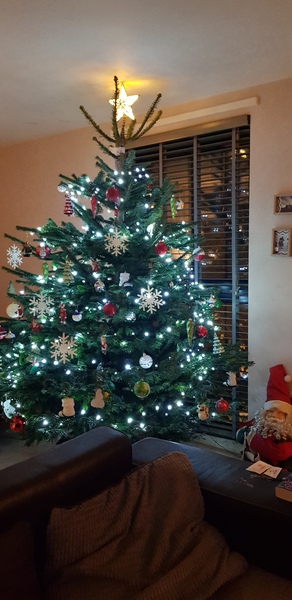 Show me your tree!