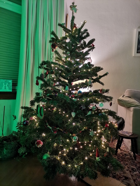 Show me your tree!