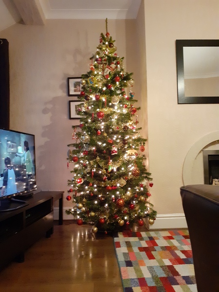 Let’s see your Christmas trees 🎄