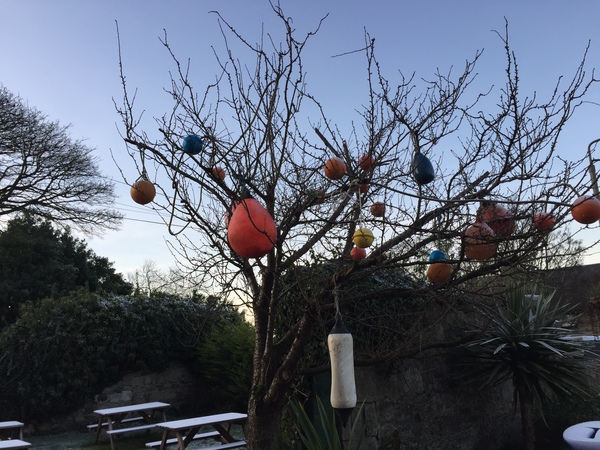 It's the 2019 Christmas name change competition! <jingle>