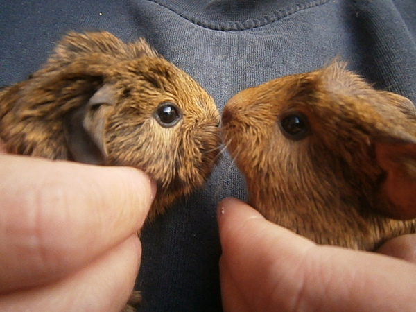 to share this cuteness with you