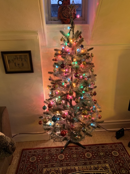 Show me your tree!