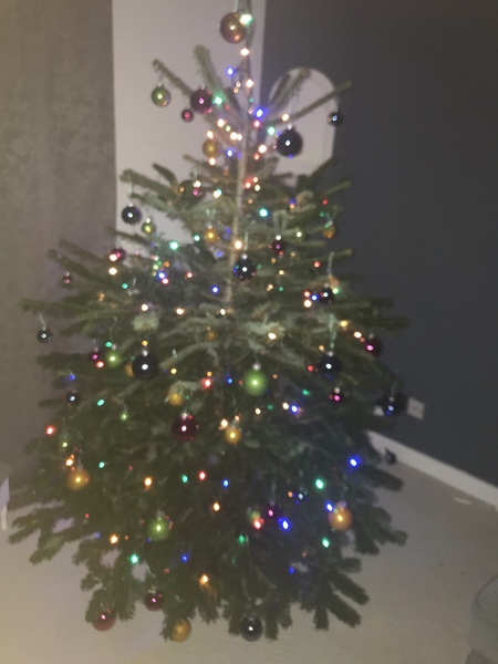 To ask to see your Christmas decorations?