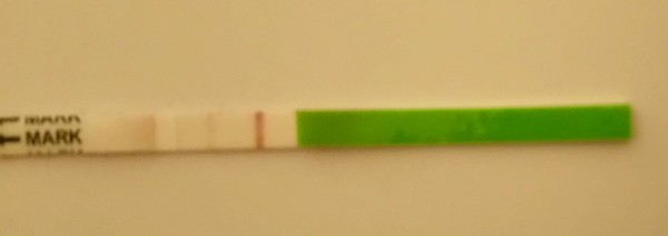 No period, no +ve test, but LH?