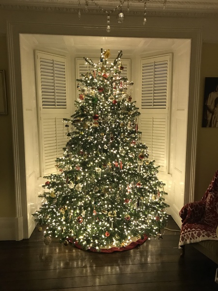 Let’s see your Christmas trees 🎄
