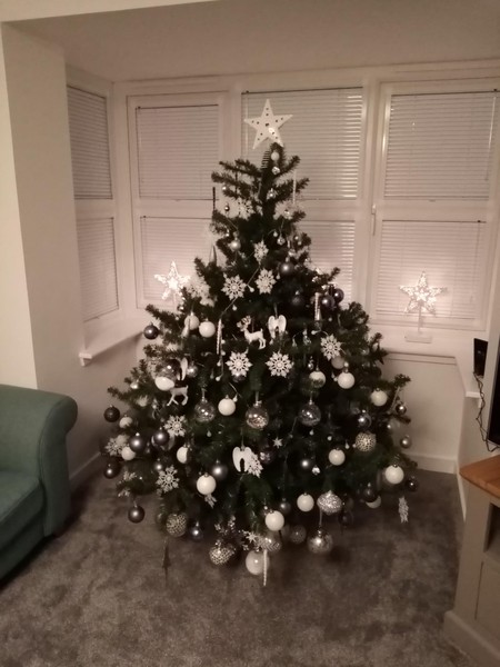 To be a tad disappointed with my balsam hill tree