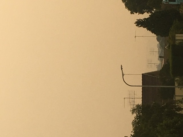 Australian bushfires