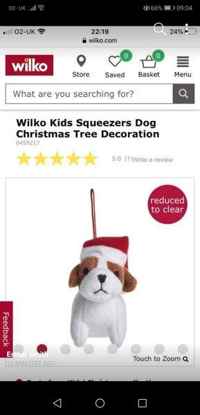Help- looking for specific Christmas dec to replace stolen one