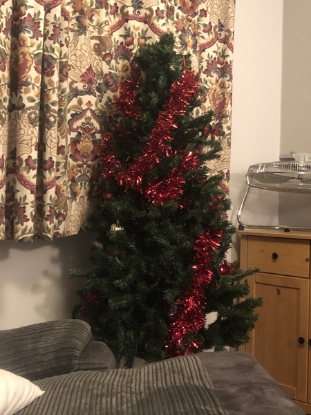 Show me your tree!