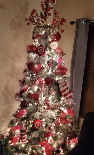 To ask to see your Christmas decorations?