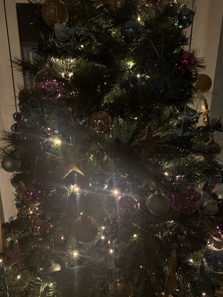 Show me your tree!
