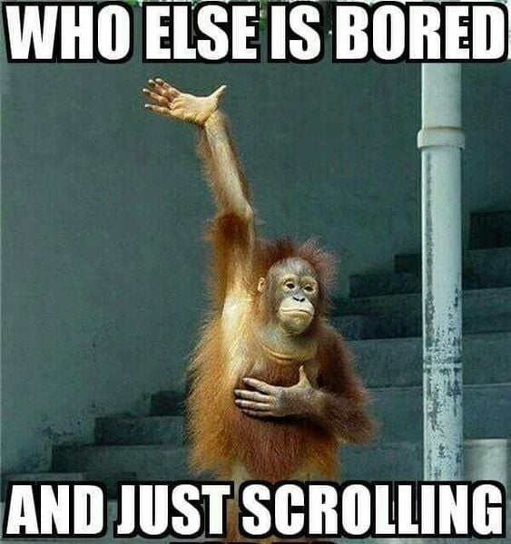 The Brexit Arms. Is this Ben Elton? Is it free mulled wine and mince pies for everyone or a Corb-free Christmas 🎄?