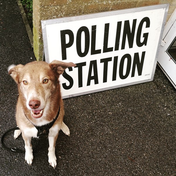 How busy was your polling station?