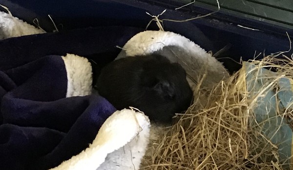 to share this cuteness with you