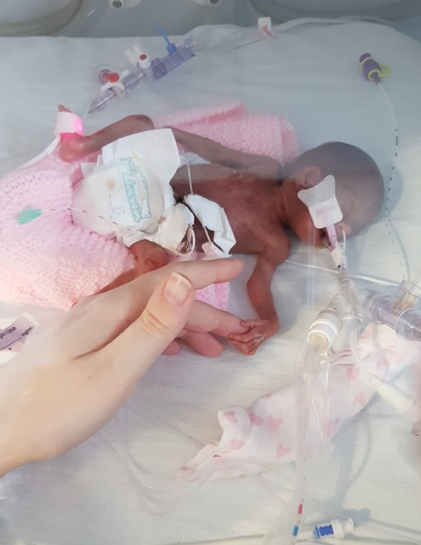 The Graduates of TTC after pregnancy loss thread#5 - 🐧 The Penguin Huddle 🐧