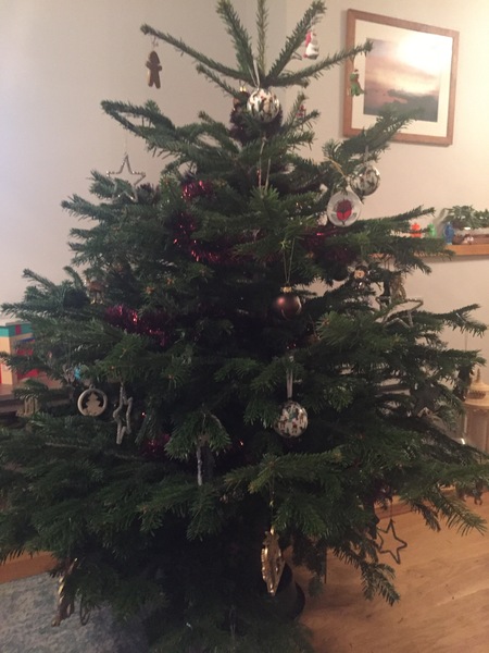 to think these are the tackiest Christmas decorations?