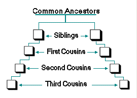 Help with genealogy!