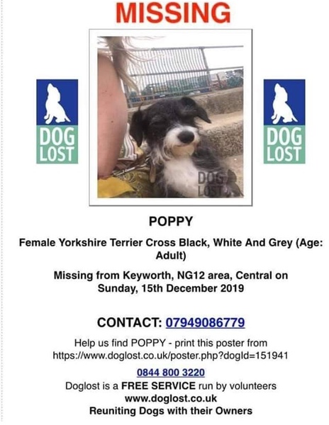 Can you help get Poppy home?