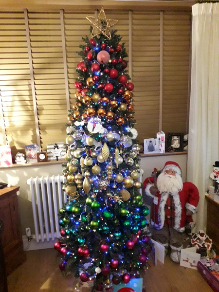 Show me your tree