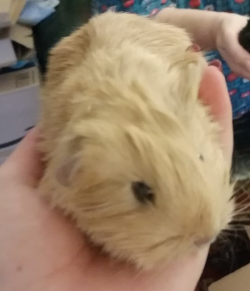 to share this cuteness with you