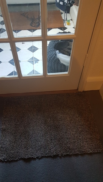 Please help with ruined carpet dilemma!