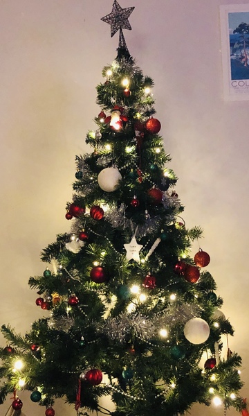Show me your tree!
