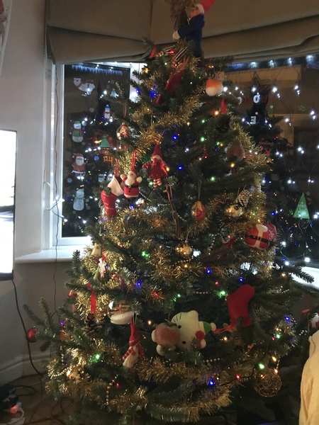 To be a tad disappointed with my balsam hill tree
