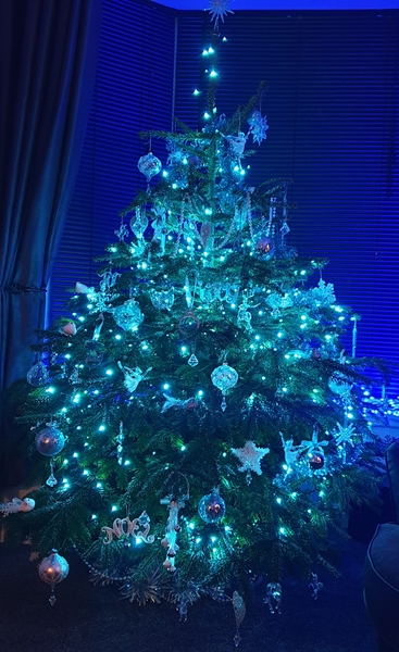 To ask to see your Christmas decorations?