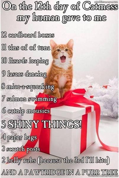 Memey Christmas