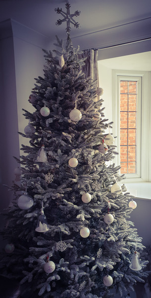 To be a tad disappointed with my balsam hill tree